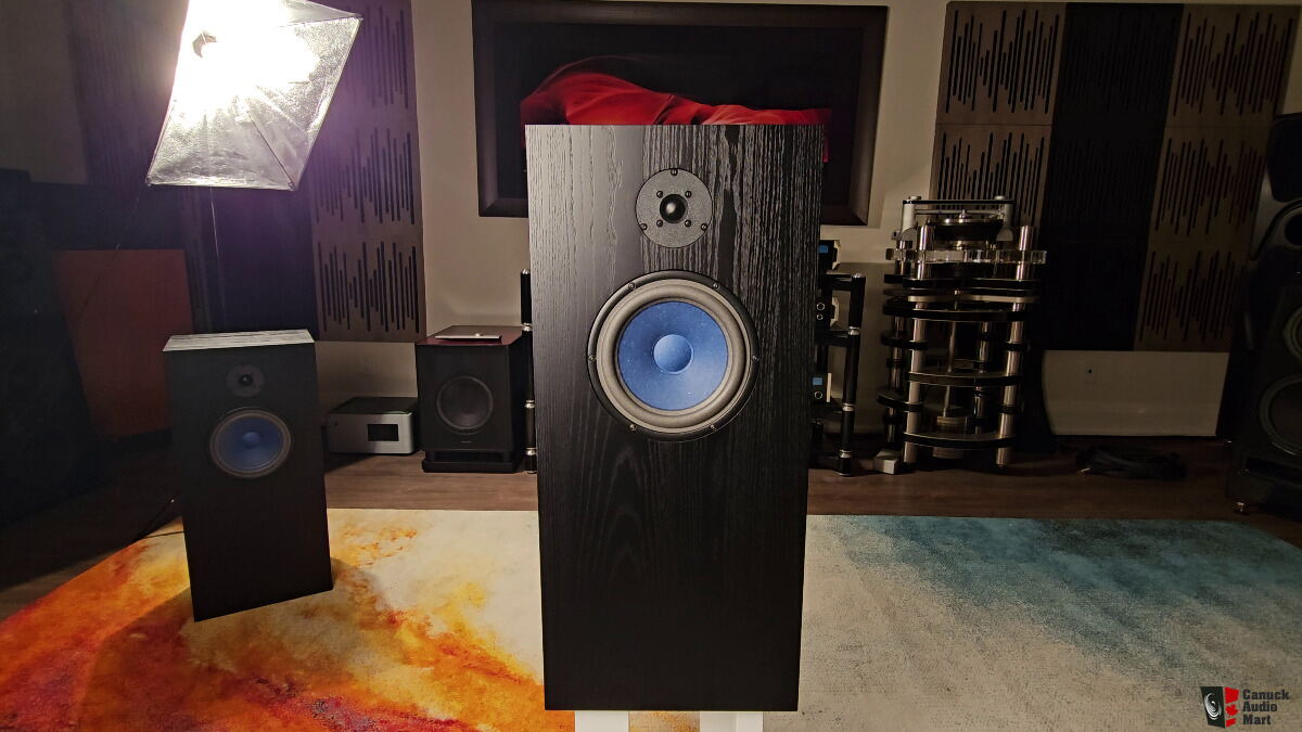 Audionote E/D Hemp Speakers with stands. Very Rare!