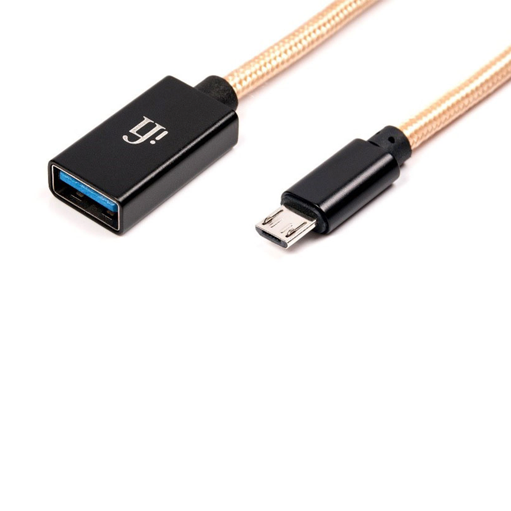 iFi OTG Cable - Sold as a Single