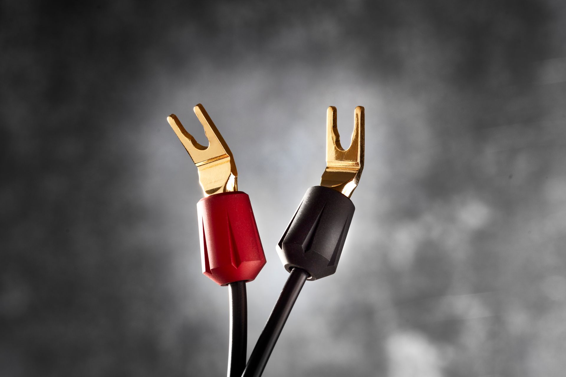 Gryphon Vanta Speaker Cables