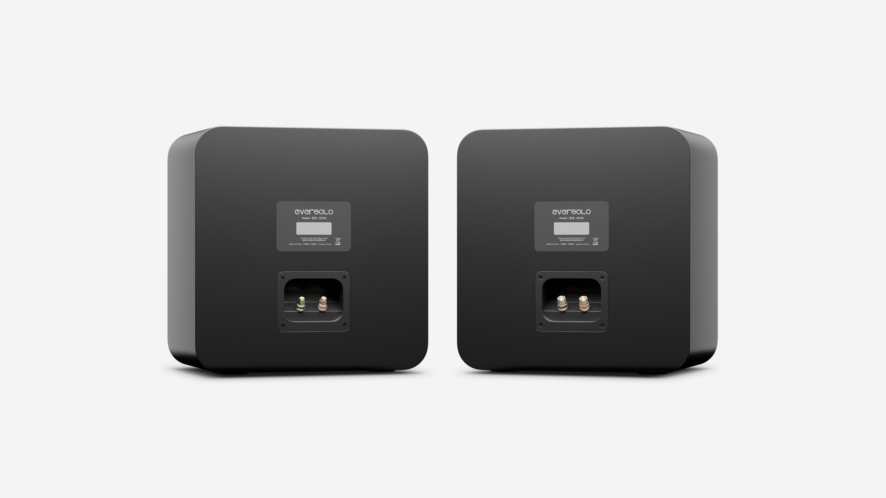 EverSolo SE100 Passive Speakers