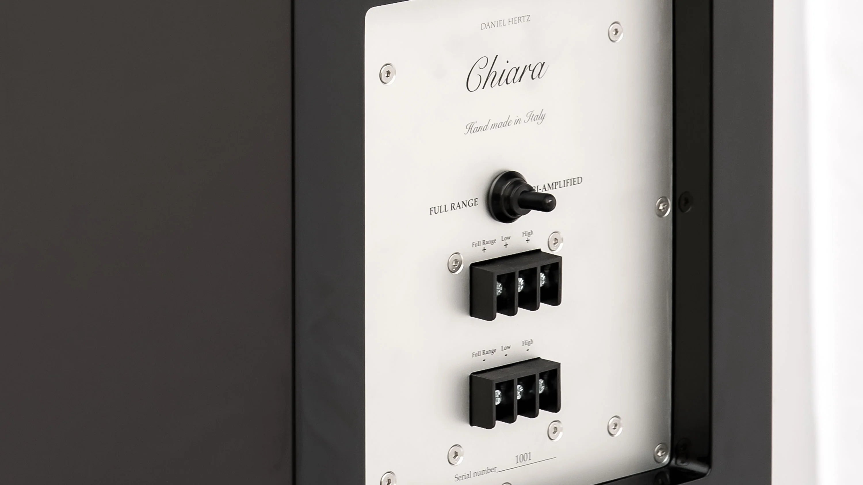 Daniel Hertz Chiara Speakers With Maria 800 Amplifier