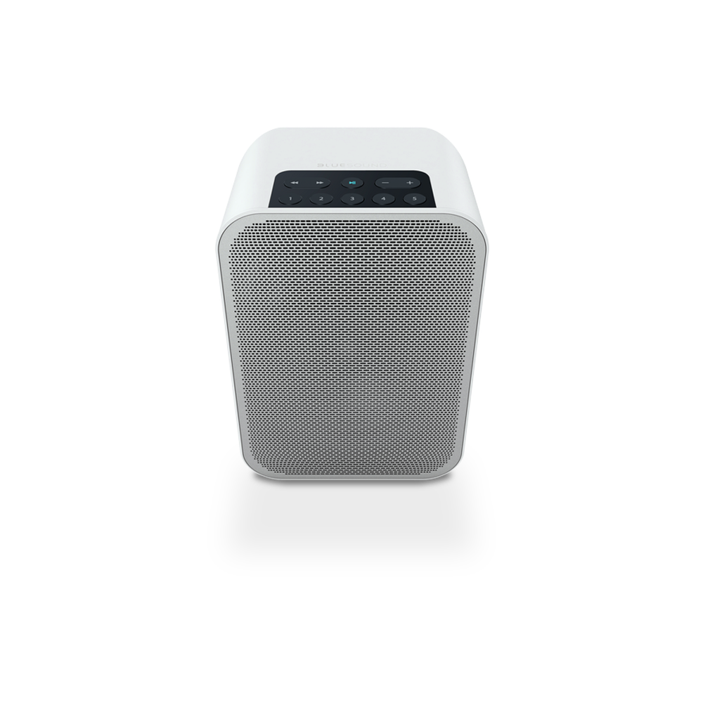 Bluesound PULSE FLEX 2i Portable Wireless Multi-Room Music Streaming Speaker