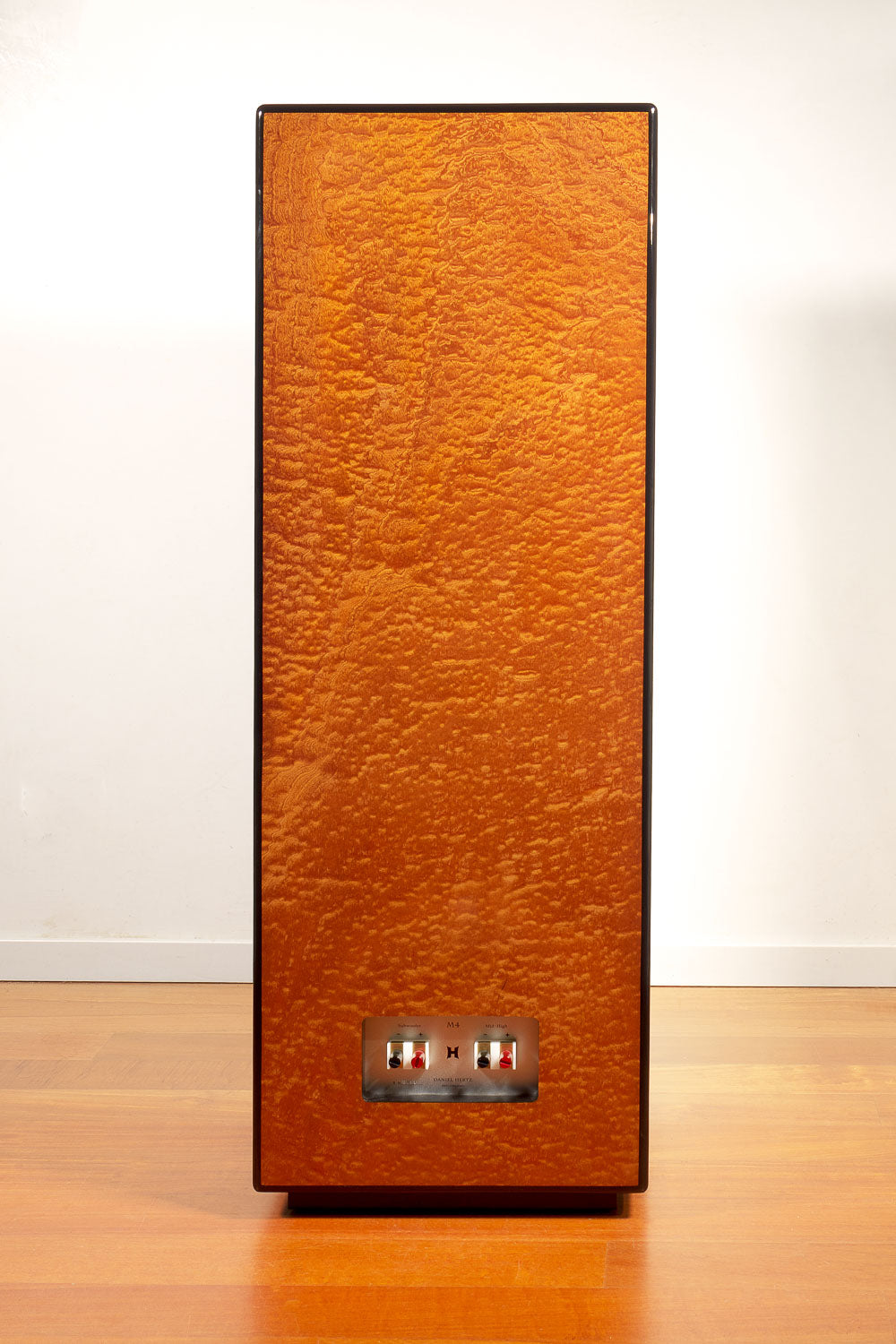 Daniel Hertz Bi-amplified M4 with Maria 800