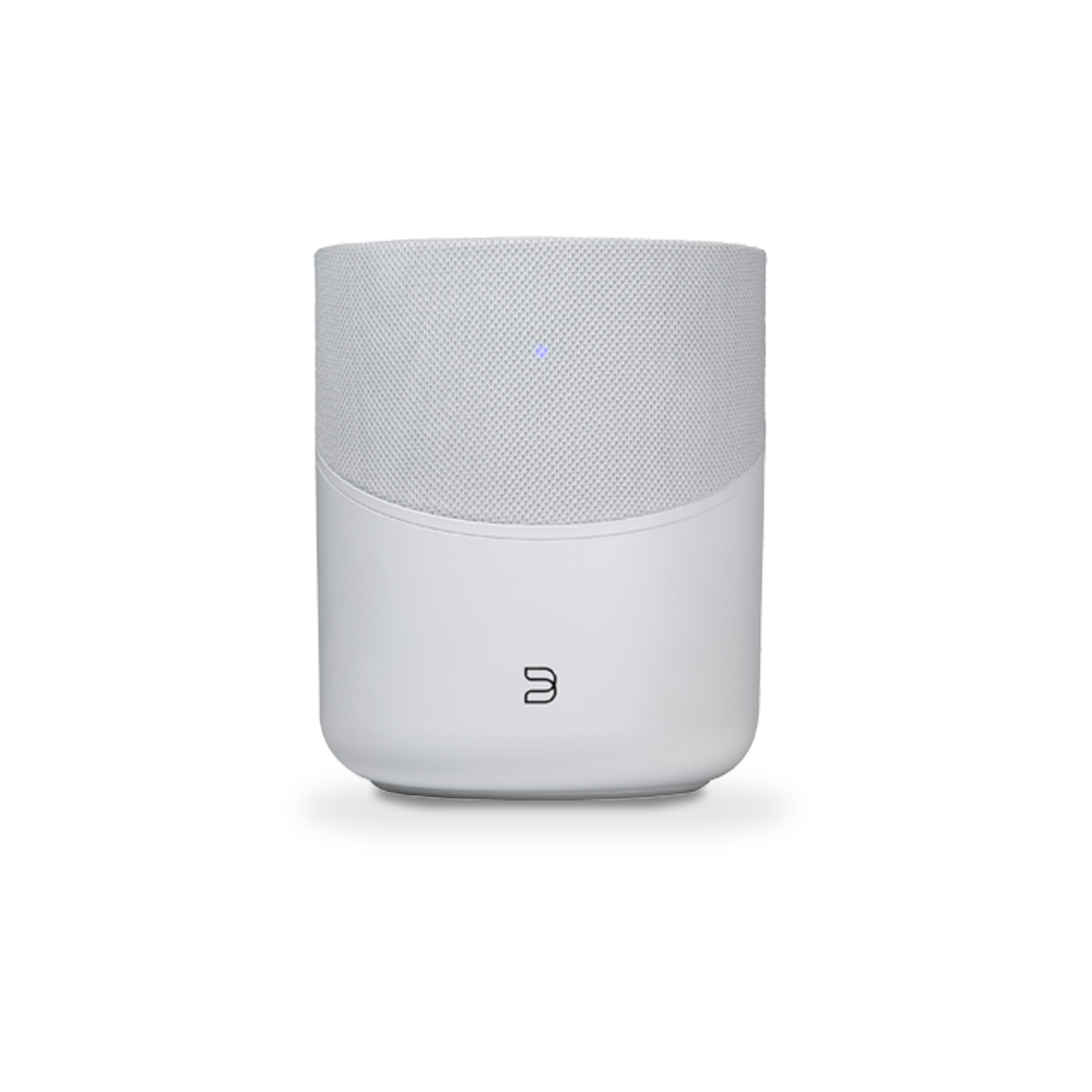 Bluesound PULSE M Wireless Multi-Room Music Streaming Speaker
