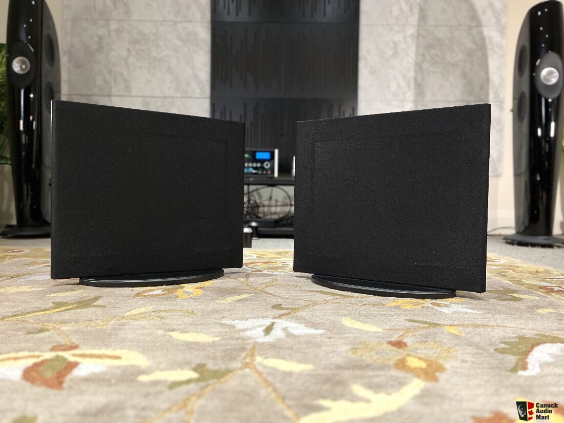 Magnepan DWM Woofer panels. 2 available (Pre-Owned)