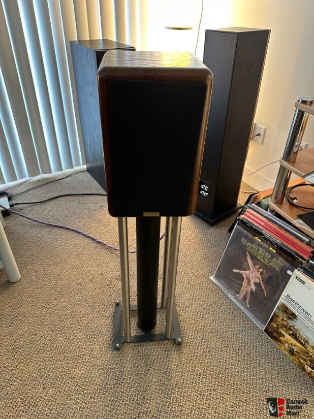 Xavian Corallo Esclusivo Speakers 1600$ CAD