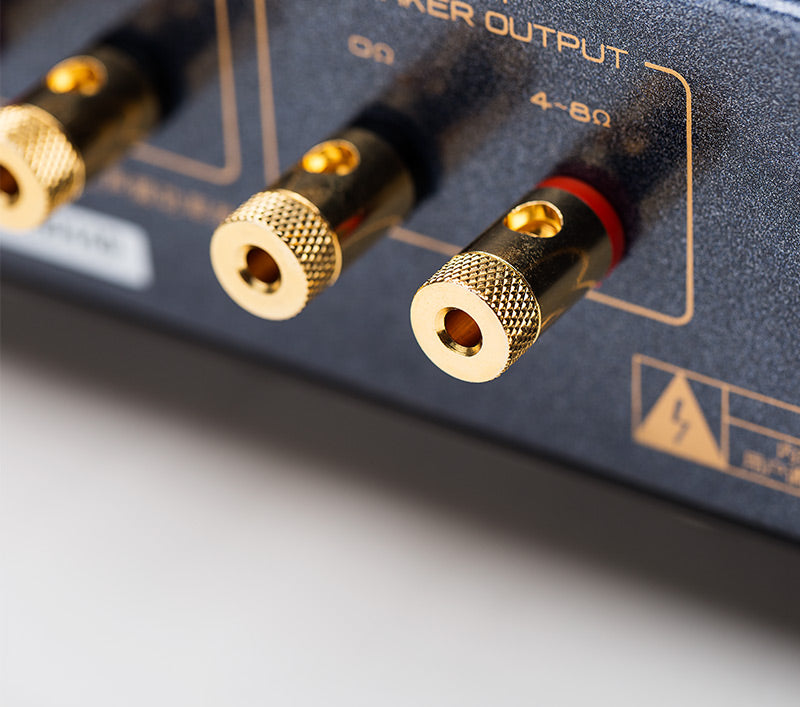 Cayin MT-12N Tube Integrated Amplifier (Call/Email For Availability)