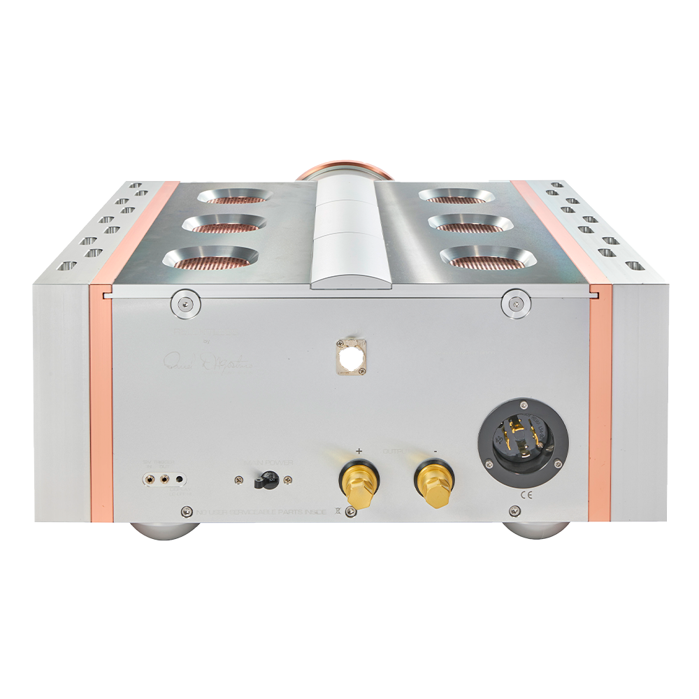 Dan D'Agostino Relentless EPIC 800 Monaural Amplifier (sold as a pair)