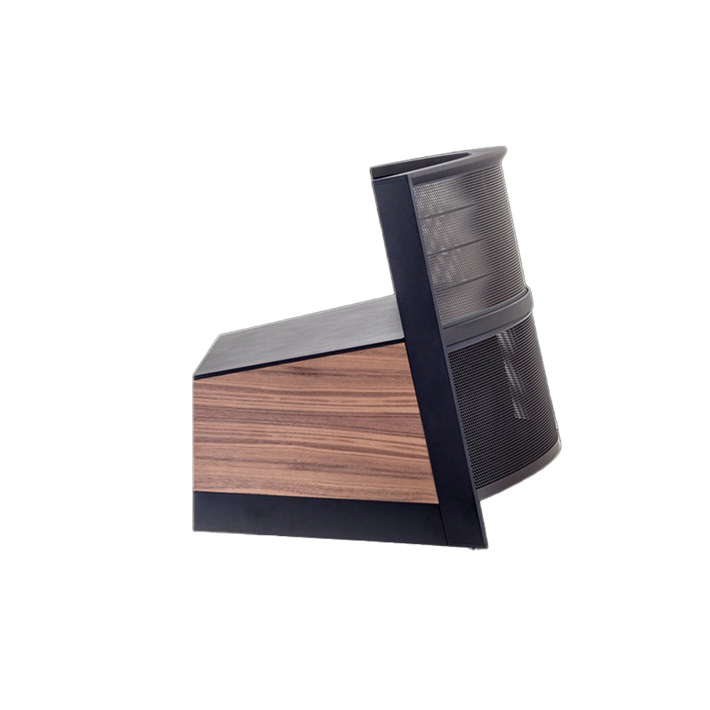 Martin 2024 logan illusion