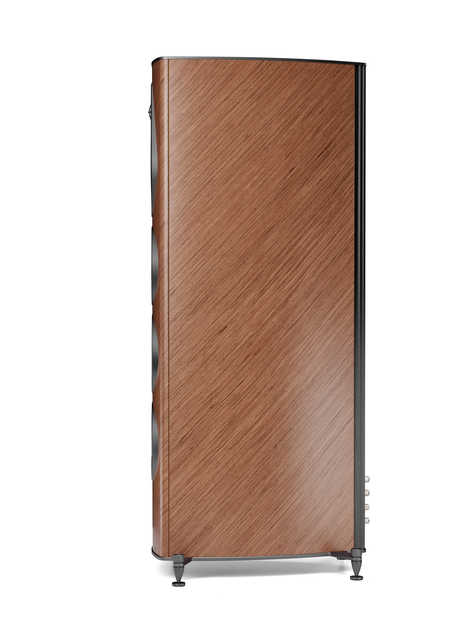 Sonus Faber Olympica G3 V 2026 (Please Call / In-Store Only)