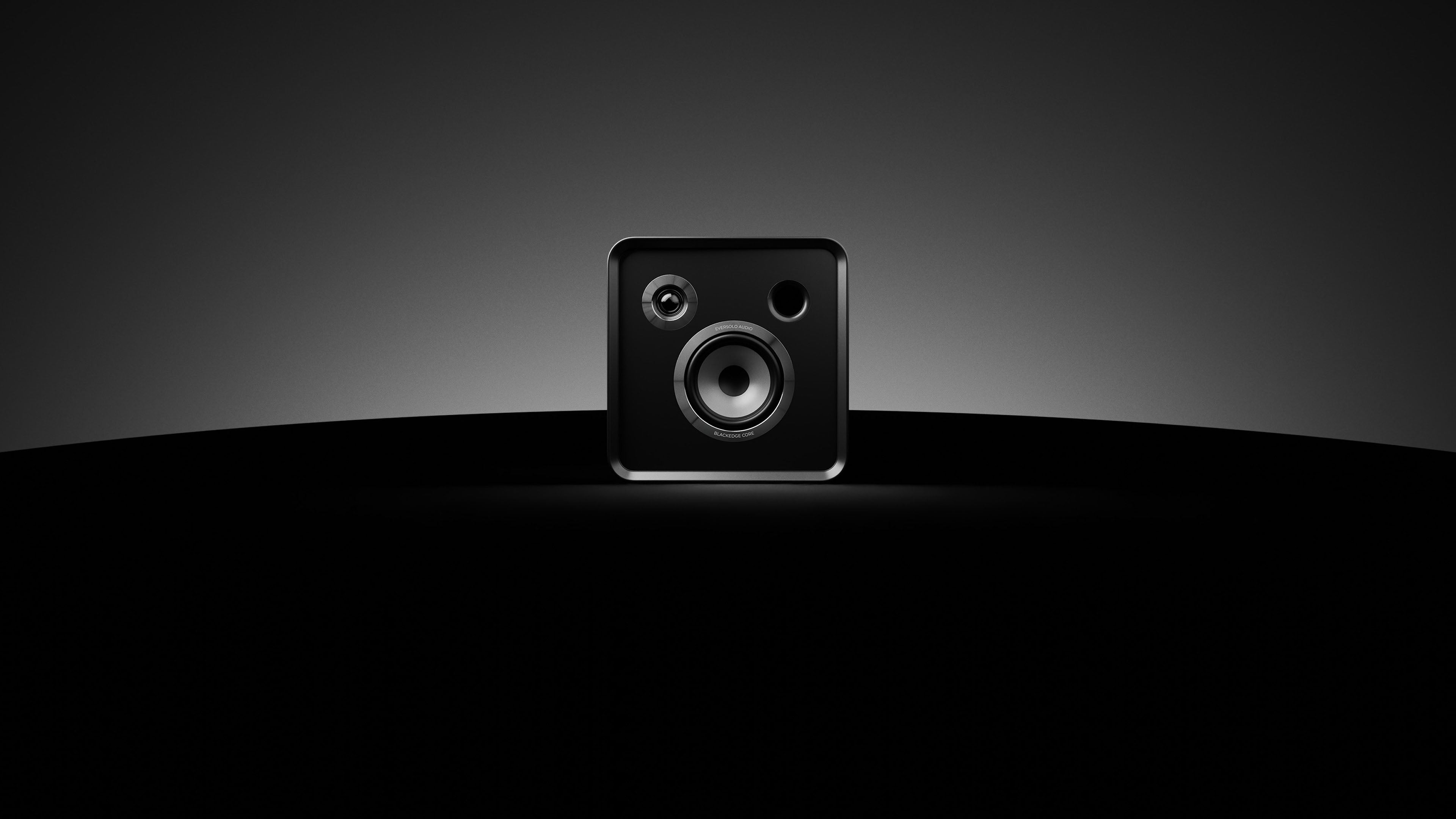 EverSolo SE100 Passive Speakers