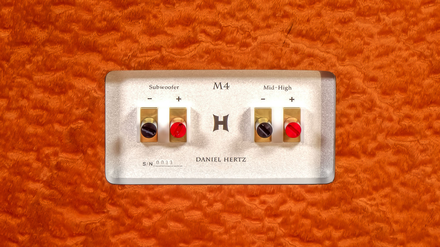 Daniel Hertz Bi-amplified M4 with Maria 800